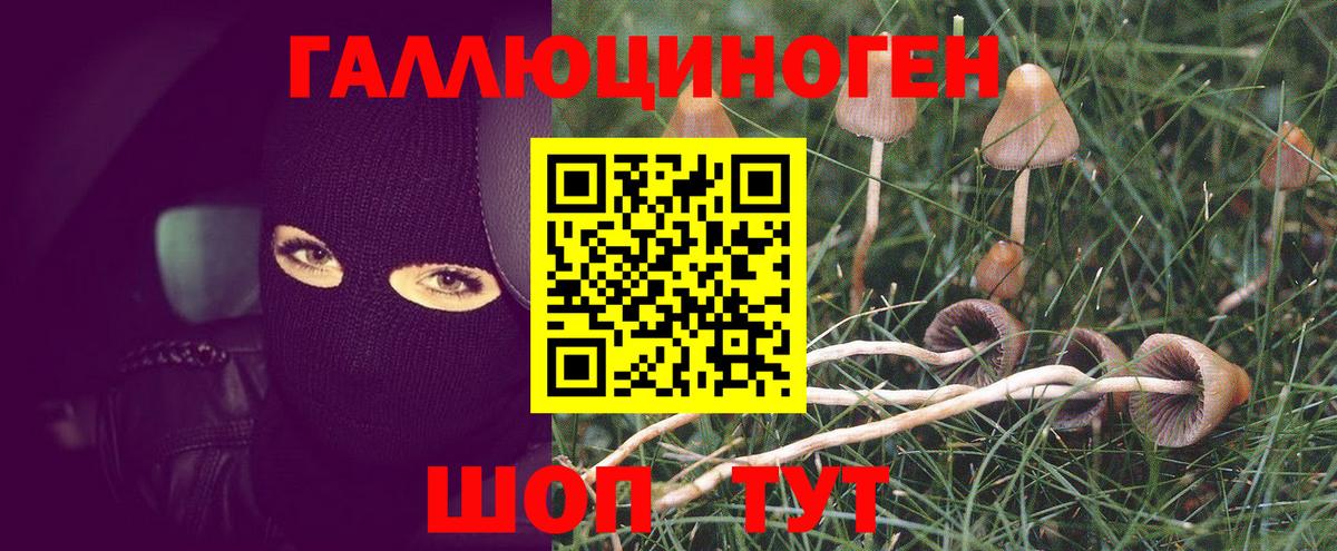 купить наркотики сайты  Вход с VPN  Ивантеевка  Псилоцибиновые грибы MAGIC MUSHROOMS  Галлюциногенные грибы GOLDEN TEACHER 