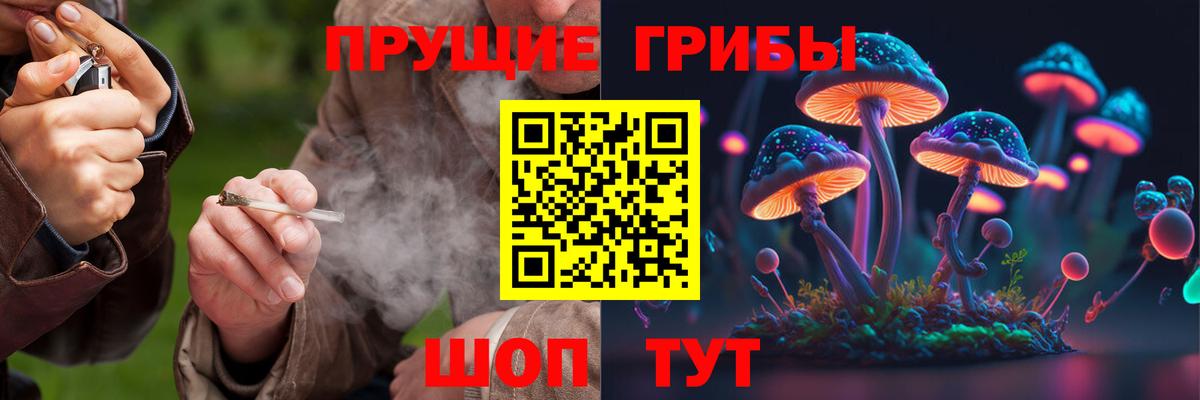Галлюциногенные грибы Psilocybe Ивантеевка